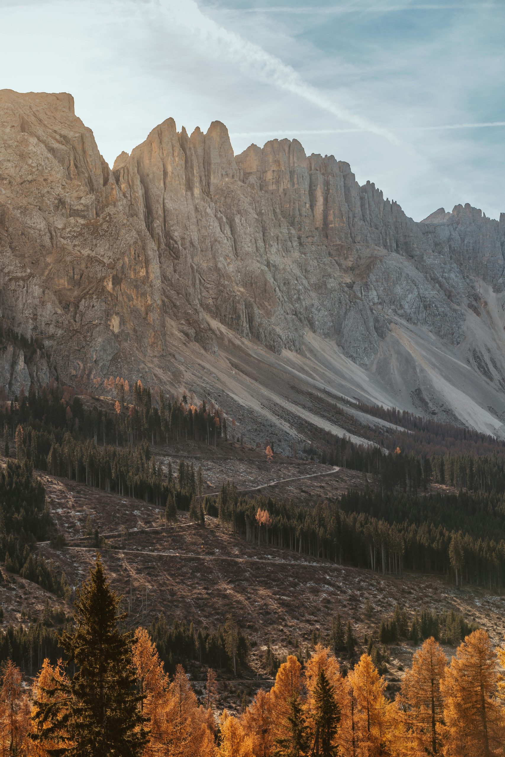 Free stock photo of alpine meadow, alps, autumn